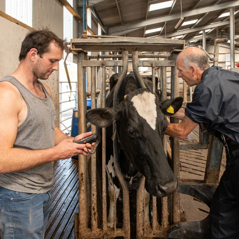 Farmer and vet